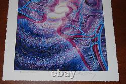 Alex Grey Cosmic Lovers Psychedelic Art Print S/# 89/100 Poster with COA Third Eye