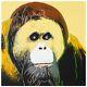 Andy Warhol Ii. 299 Orangutan 1983 Signed Screen Print Endangered Species